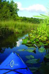 Huron River Watershed Boat Lockers